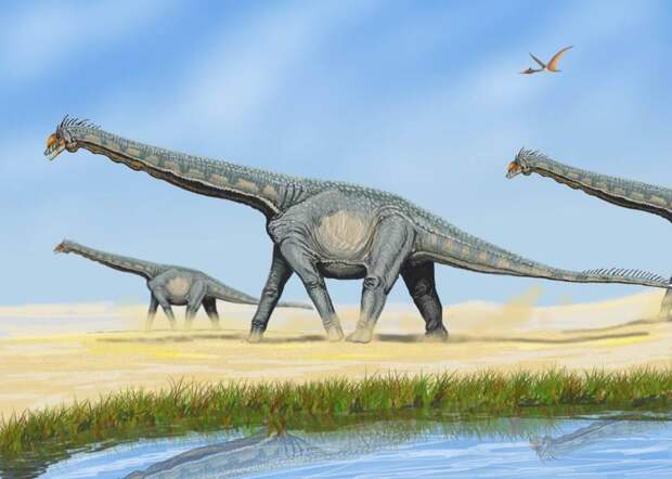 Палеонтологи: динозавры юрского периода мигрировали на сотни километров