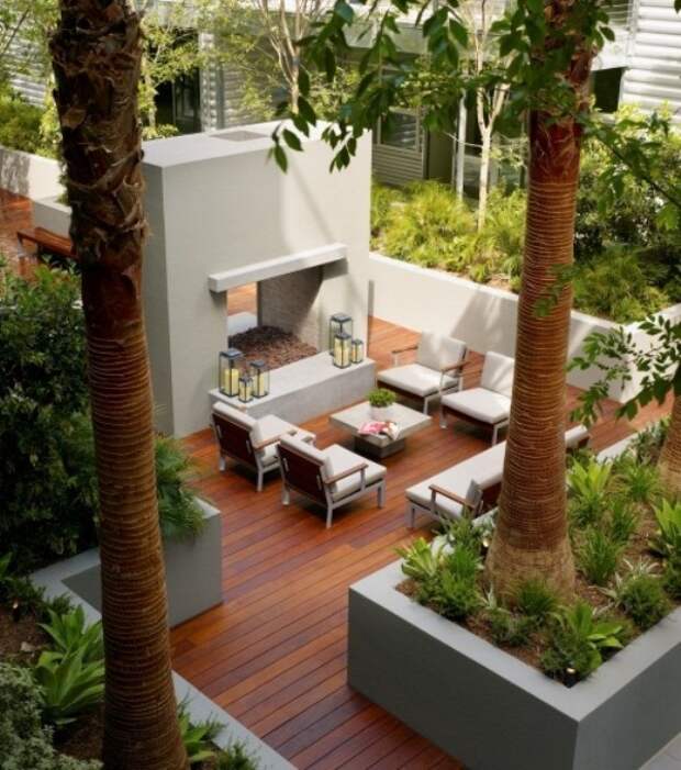 Дерево во дворе дома в Лос-Анджелесе