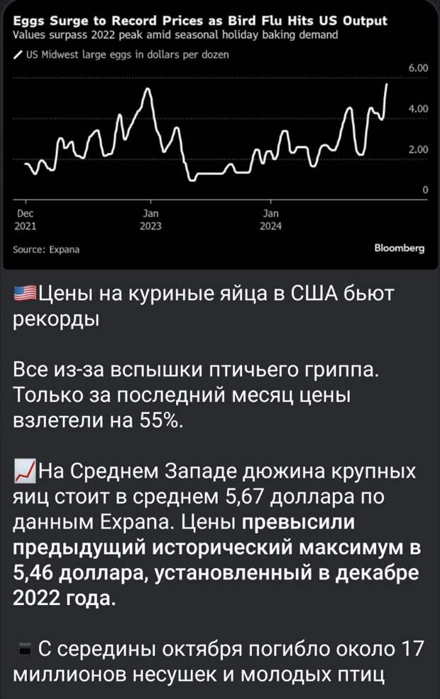 Яйца по 500 рублей и при чём тут ВВП