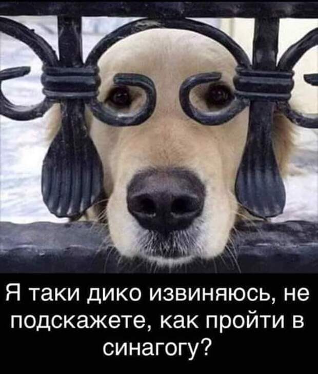 22 классных веселых анекдота