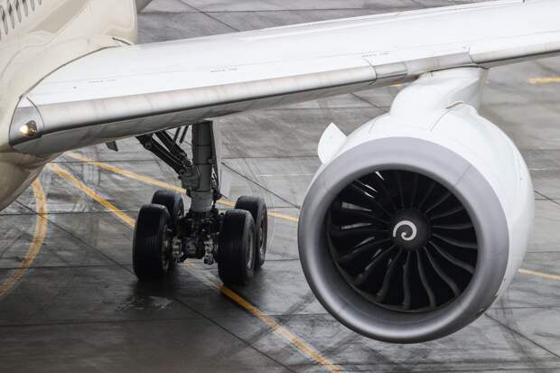 Вернувшийся в российский аэропорт самолет столкнулся с птицей