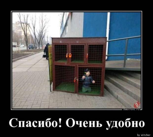 1575014872_demy-3.jpg