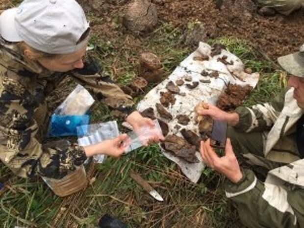 Невьянские поисковики поучаствовали в экспедиции «Вахта Памяти 2019»