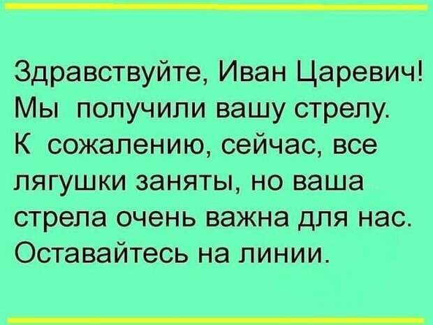 Лучшие юмористические картинки, которые подарят позитив на весь день