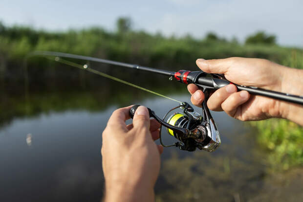Юрист Русяев: за ловлю редких видов рыб может грозить уголовное наказание