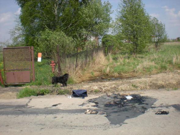 Добро уходящего года