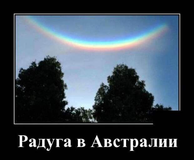 demotivatory-demotivator-smeshnye-demotivatory-demotivator-so-smyslom