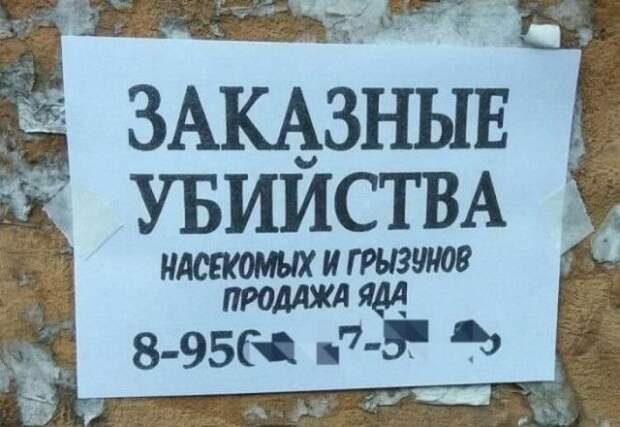 Забавные и странные объявления с наших улиц (22 фото)