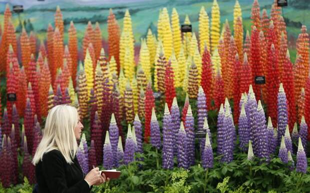 Выставка цветов в Челси 2014