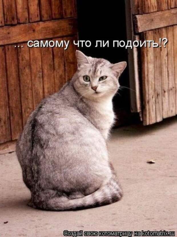 Мысли вслух :)