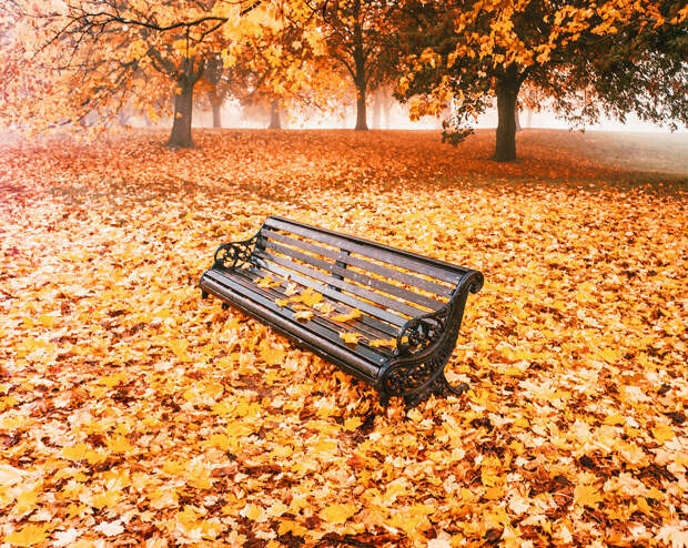 Фотограф Кристина Макеева: как осень выглядит во всем мире