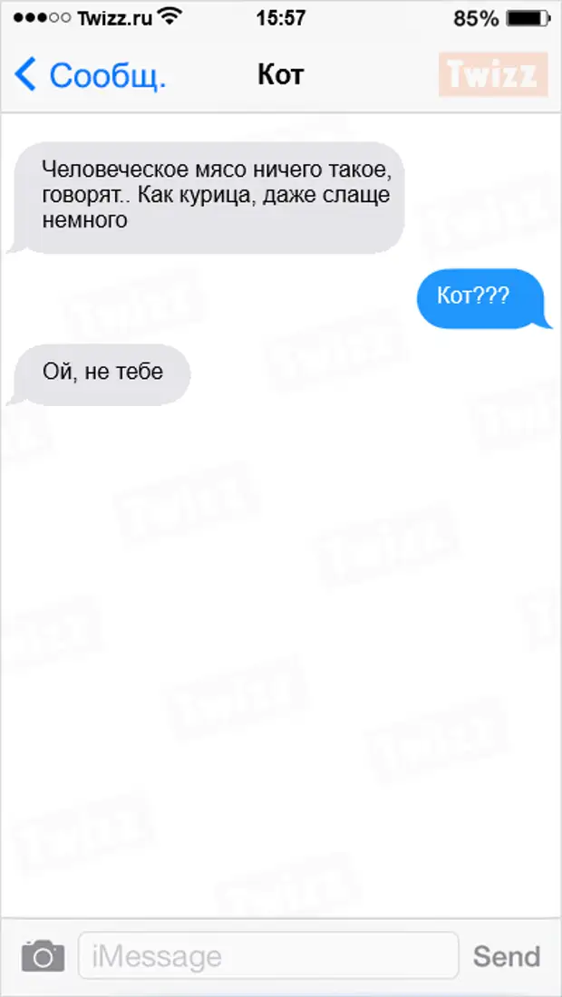 смешные переписки с котом. переписка с котом смс. на телефоне месседж ты. чат в телефоне. смс от мамы дочке.