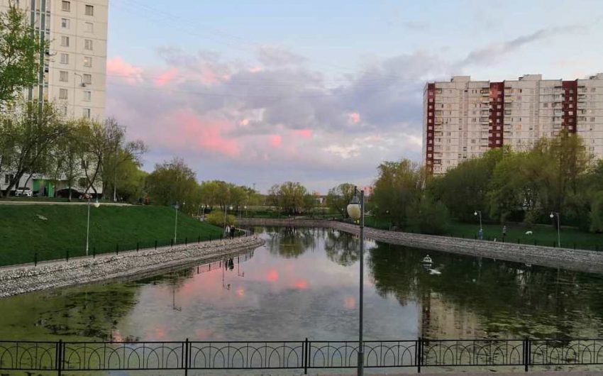 Фото дня: рассвет над прудом