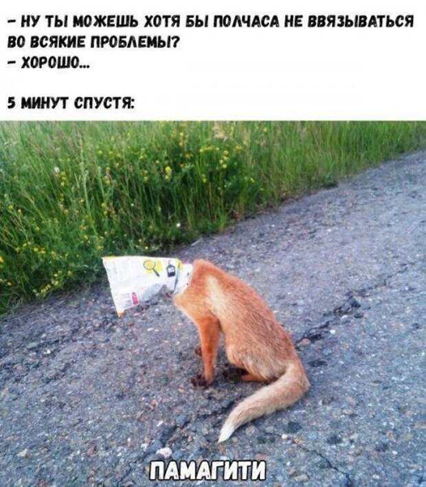 Прикольные картинки против понедельника! (40 шт)