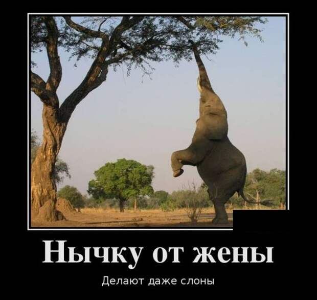 Демотиваторы (30 фото)
