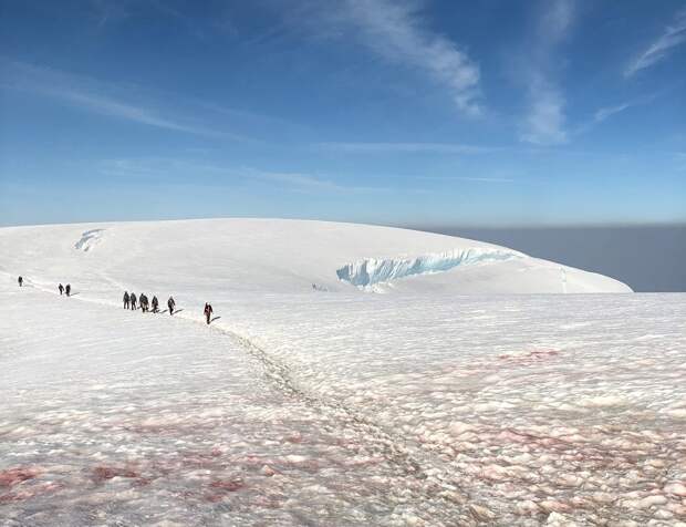 Mt. Baker summit via the Easton Glacier. Photo: Kim Kommer