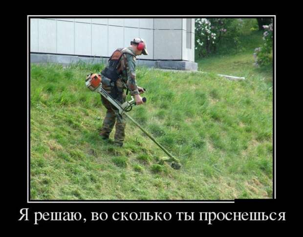 Демотиваторы (30 фото)
