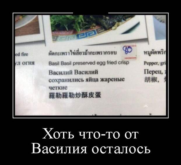 Демотиваторы (30 фото)