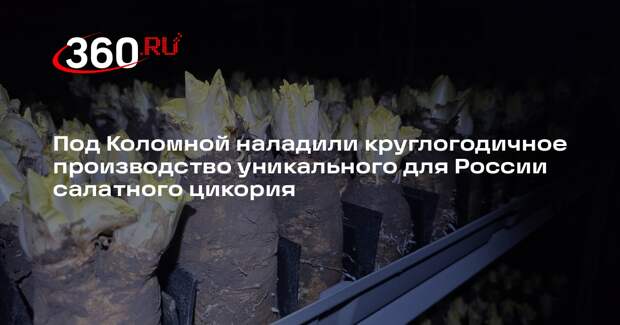 В Подмосковье начали собирать урожай экзотического овоща