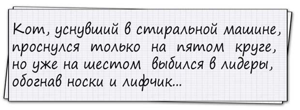 Милая моя, единственная, нежная, сладкая, добрая, знойная...