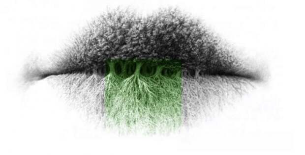 Достаточно внимательно посмотреть на картинку: первое, что увидите, расскажет нечто важное о личной жизни