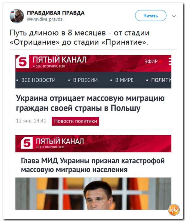 85.jpg