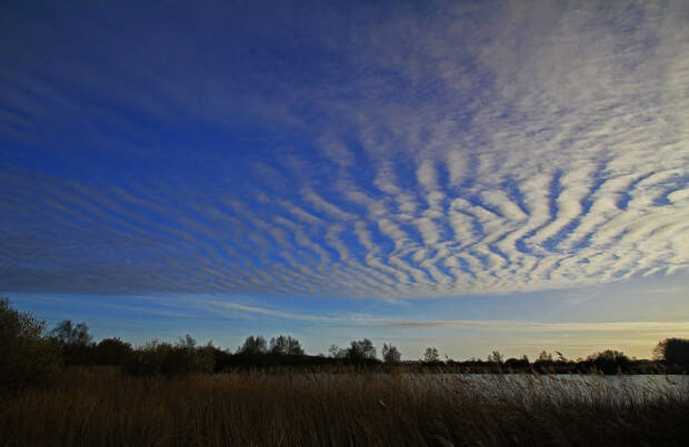 Волнистые облака