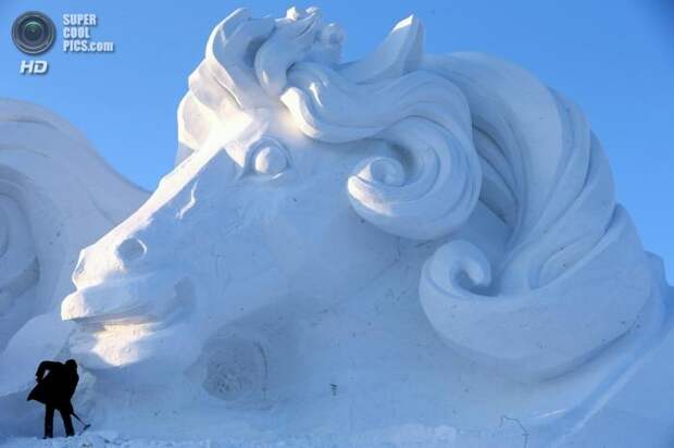 Невероятные снежные скульптуры (6 фото)