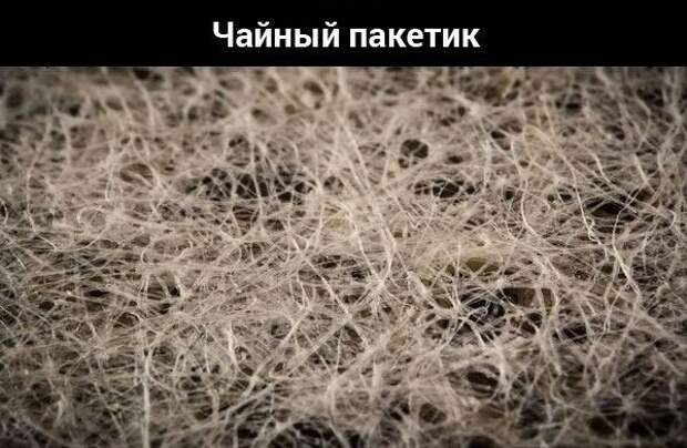 Предметы из повседневной жизни под большим увеличением. Предметы из повседневной жизни под большим увеличением.