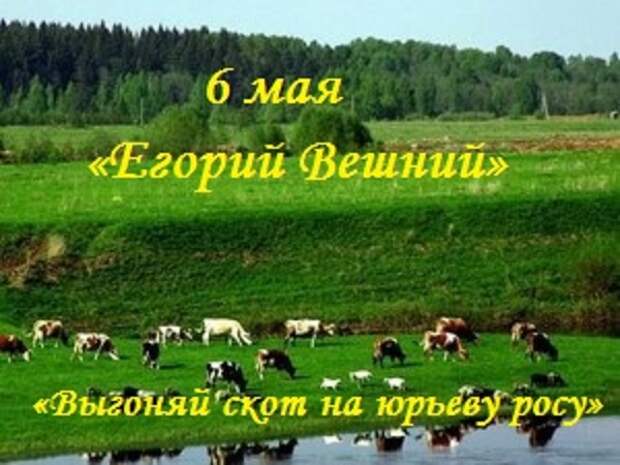 Погода на юрьев день. Юрий Вешний, Егорьев день. Егорий Вешний Юрьев день 6 мая. Егорьев день (Егорий Вешний). Народный праздник Егорьев день.