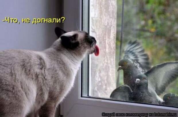 Мысли вслух :)