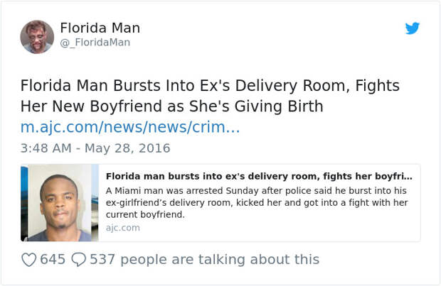 Florida-Man-Headings