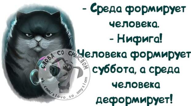 Смешная Среда Со Средой Картинки