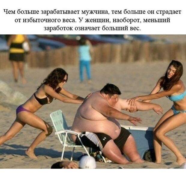 Познавательные и забавные факты (24 фото) Познавательные и забавные факты (24 фото)