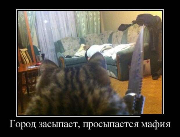 Демотиваторы