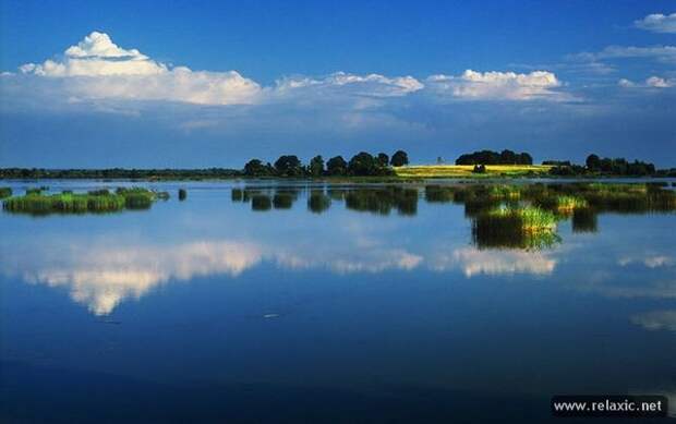 Andris_Eglitis_031 Andris_Eglitis_031