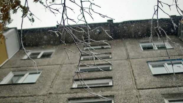 До +1. О погоде в Барнауле 6 марта