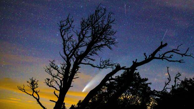 Межзвездную комету 3I/ATLAS проверили на сигналы внеземных технологий