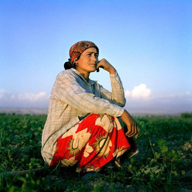 Основной труд, которым заняты женщины в поселках - аграрный жизнь простых людей, миграция, таджикистан