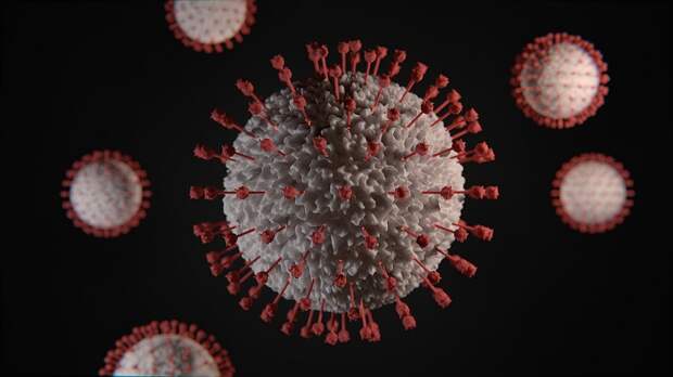 Медики за сутки выявили в Крыму 231 нового больного коронавирусом