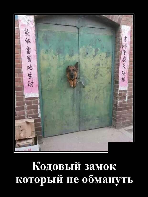 www.vsyako.net