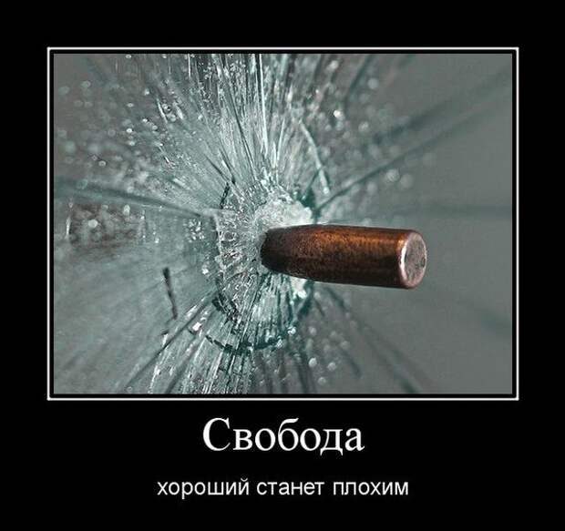 Демотиваторы (30 фото)