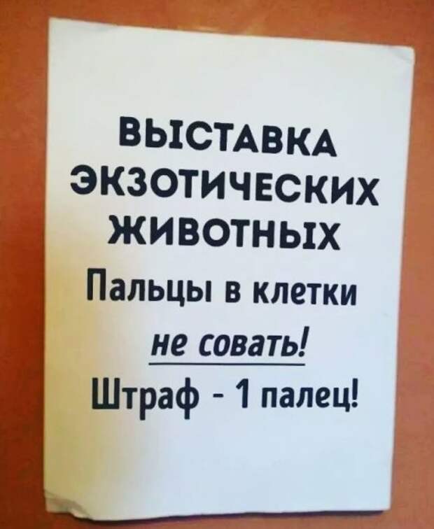 Смешные объявления, вывески и реклама (27 фото)