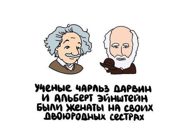 Интересные короткие факты на все случаи жизни