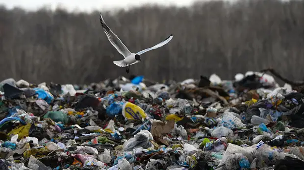 Глава Минприроды рассказал о новой отрасли по обращению с отходами