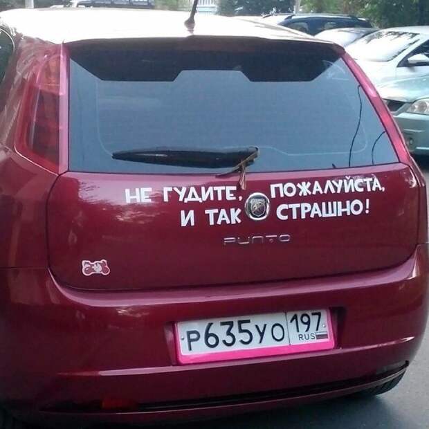 181703_11_trinixy_ru.jpg