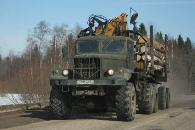 scale_1200.jpg