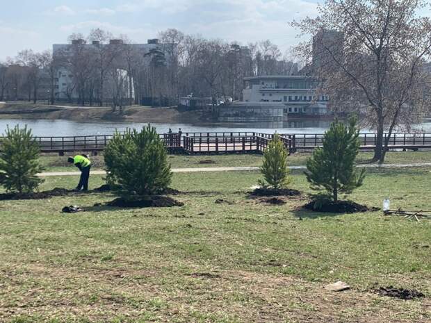 2008 басов. Пискаревский мемориал пруд. Пруд кладбище. Пруд кладбище. Пруд кладбище.