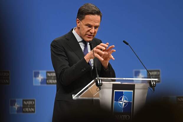 Генсек НАТО пообщался с псом Патроном