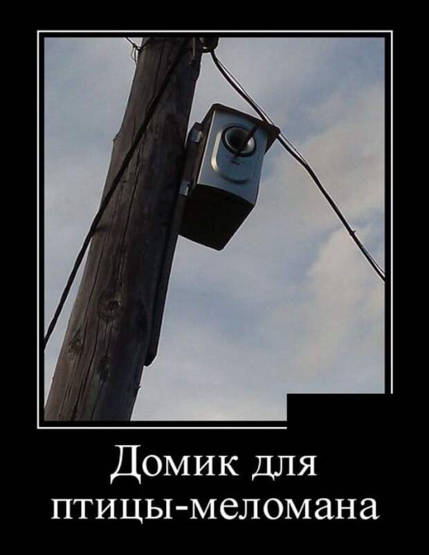 Демотиваторы (30 фото)